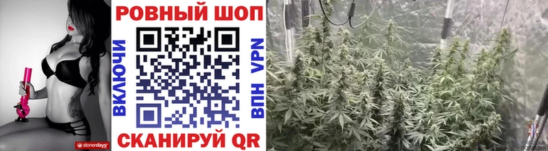 ГАШ Мостовской