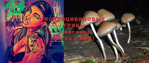 гидра Абаза