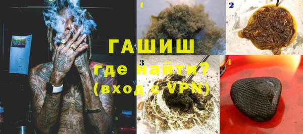 гидра Абаза