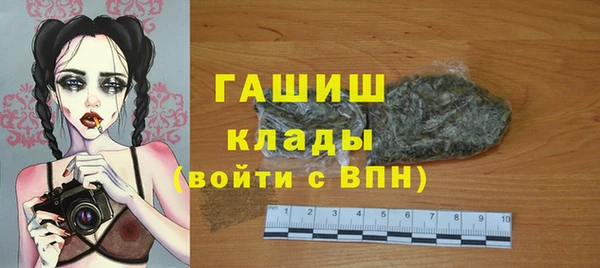 гидра Абаза