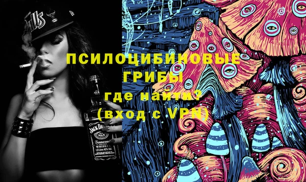гидра Абаза