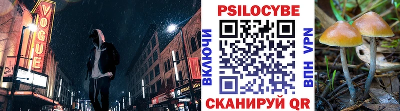 даркнет состав  где можно купить наркотик  Мостовской  Псилоцибиновые грибы GOLDEN TEACHER 